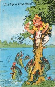 Comic humor fish jumping man in tree 1940s Kropp postcard 10740