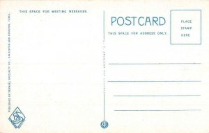 Houston Texas Rice Hotel Exterior Antique Postcard KK1943