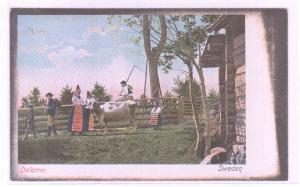 Farm Family Dalarne Sweden 1907c postcard