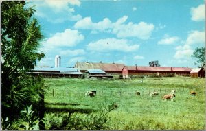 Vtg Placid Oak Farms Benedictine Monks St Bernard Abbey Alabama AL Postcard