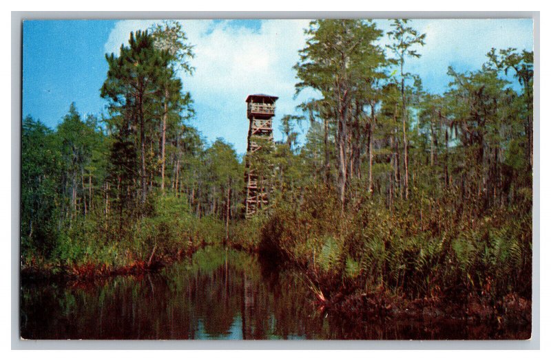 Postcard GA Okefenokee Swamp Park Waycross Georgia Observation Tower