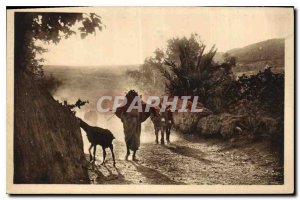 Old Postcard Gafsa in the dust Donkey Mule