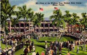 Miami, Florida - View of the Walking Ring, Hialeah Race Course - c1940