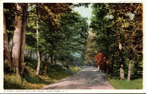 New York Adirondacks Tarrytown Sleepy Hollow Road Detroit Publishing