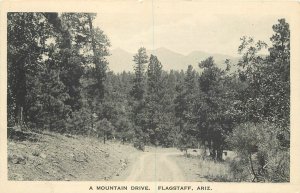 Postcard Arizona Flagstaff A Mountain Drive Albertype News Stand 23-896