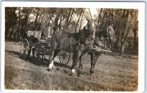 1900s Old Man Fancy Horse Carriage RPPC Wagon Real Photo Estherville Cancel A135