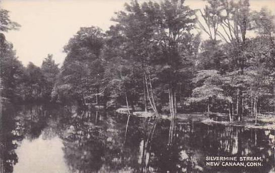 Connecticut New Canaan Silvermine Stream