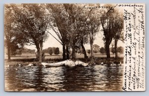 J99/ Geauga Lake? Ohio RPPC Postcard c1910 Shoreline Boats 508