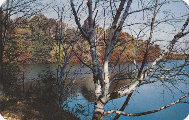 Autumn View at Durand Eastman Park - Rochester, New York