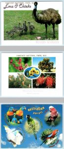 3 Postcards YANCHEP NATIONAL PARK, Western Australia ~ EMU Parrots Flowers 4x6