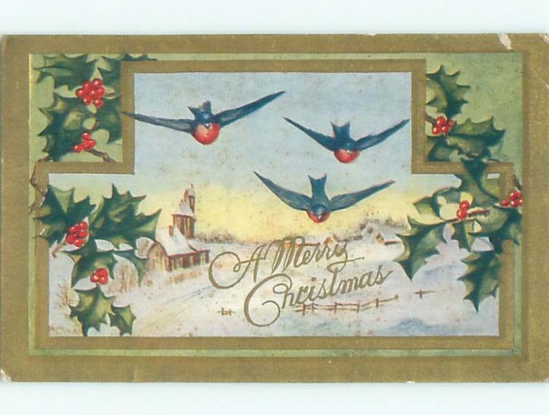 Divided-Back CHRISTMAS BIRDS SCENE Pretty Postcard W8540