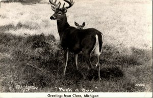 Greetings from Clare MI Peek a Boo Deer Fawn RPPC Vintage Postcard O40