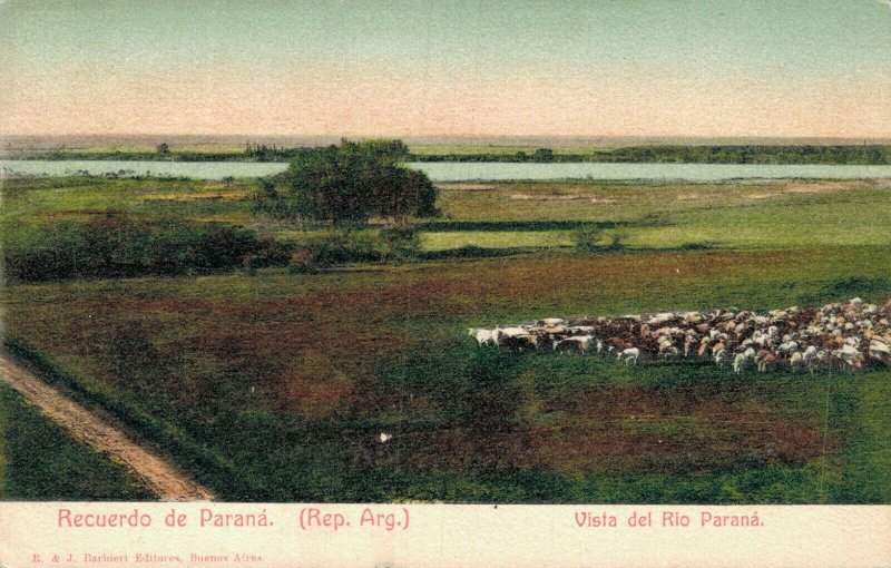 Argentina Recuerdo de Paraná Vista del Rio Paraná 06.92 