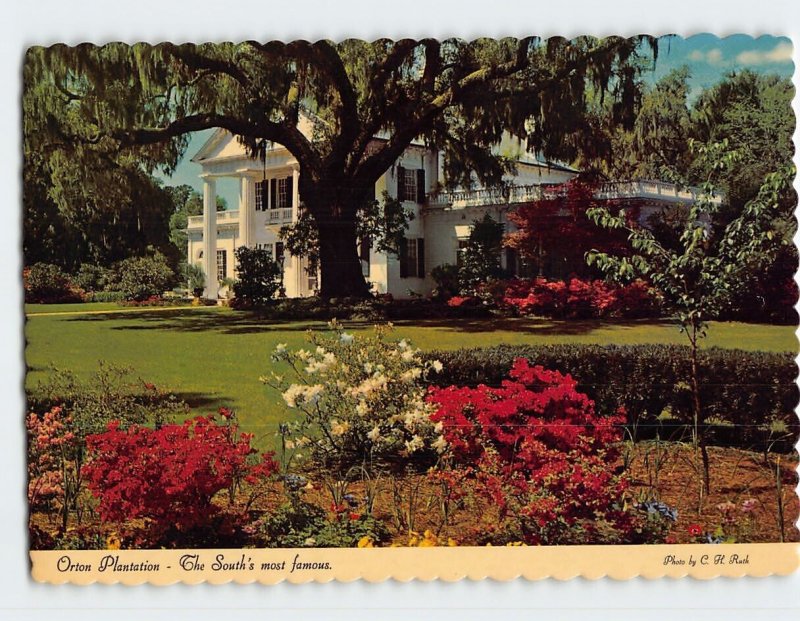Postcard The South's most famous, Orton Plantation, Winnabow, North Carolina