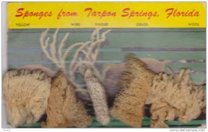 Sponges from Tarpon Springs , Florida , 40-60s