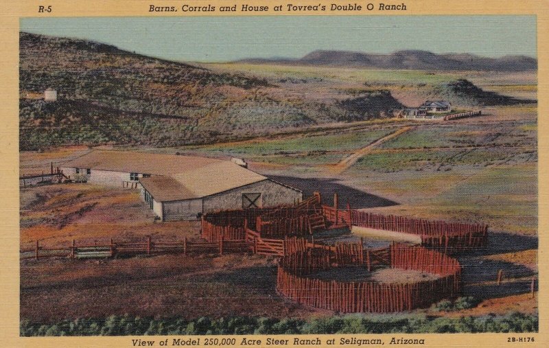 Arizona Seligman Tovrea's Double O Ranch Barns Corrals & House Curteich sk6692