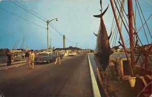 MacMillan Wharf, Provincetown, Cape Cod, Massachusetts Tuna fish hangi...