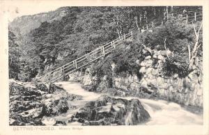 BR74327 bettws y coed miner s bridge real photo   wales