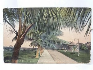 Band Stand & Parade Ground US Army Barracks Key West Florida Vintage PC 1912 USA