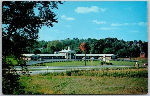 Vtg Springfield Massachusetts MA Black Horse Motel 1950s View Postcard