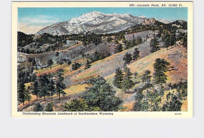 ANTIQUE POSTCARD NATIONAL STATE PARK LARAMIE PEAK WYOMING #1