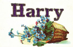 Large Letter Name Harry Flowers w/ Basket Greeting Card Vintage Postcard