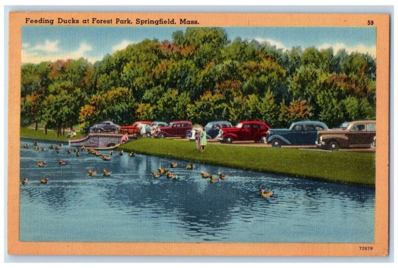 Feeding Ducks At Forest Park Springfield Massachusetts MA, Car-lined  Postcard