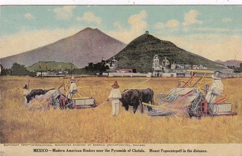 Mexico Modern American Binders Making Hay Near Pyramids Of Cholula sk4713