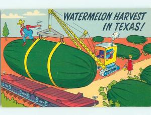 Pre-1980 WATERMELON COMIC POSTCARD state of Texas HM4615