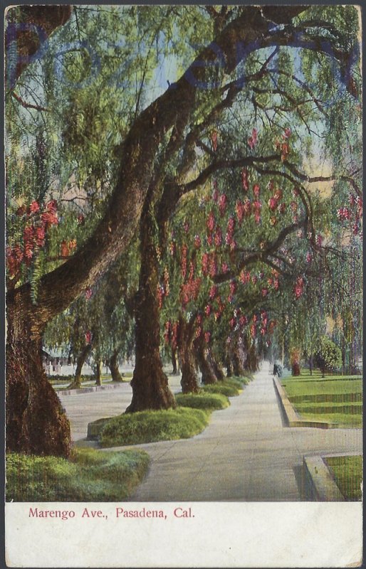 MARENGO AVENUE 1909 PASADENA CALIFORNIA