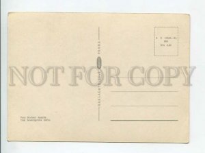 3179387 Cat old postcard