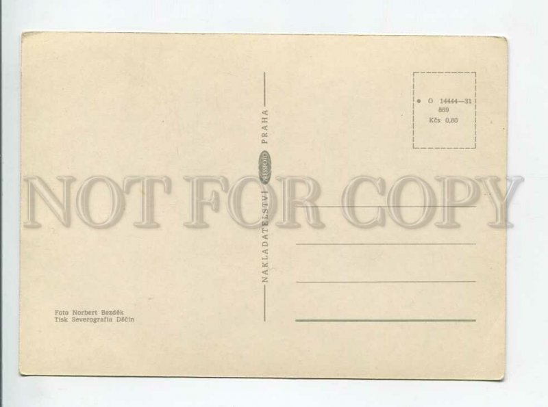 3179387 Cat old postcard