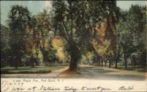 Red Bank NJ Maple Ave c1910 Postcard
