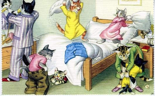 Mainzer - Pillow Fight - Cat Postcard