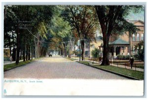 c1910's South Street Tree-lined Dirt Road Scene Auburn New York NY Postcard 