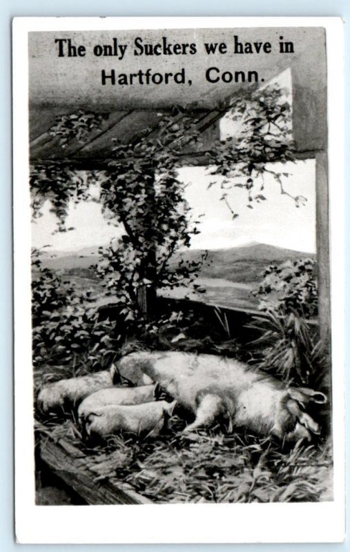 RPPC HARTFORD, Connecticut CT The Only Suckers SOW & PIGLETS 1950s Postcard