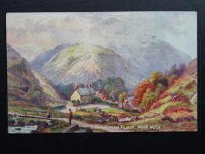 North Wales DWYGYFYLCHI VILLAGE c1907 E Longstaffe Postcard by Raphael Tuck 7098