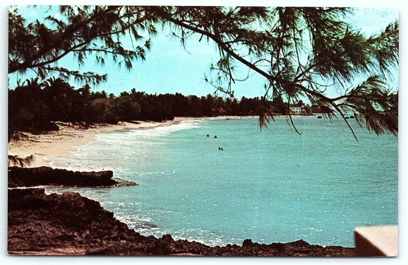 VTG Postcard Worthing Beach Barbados West Indies Sand Coast Tree Pine Water A4
