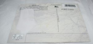 Silver Falls State Park Oregon Postcard Smith-Western Inc.