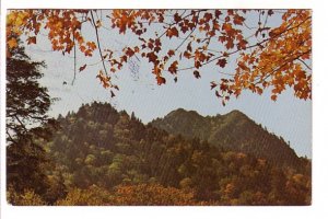 Chimney Tops, Great Smoky Mountains National Park, North Carolina, Used 1975