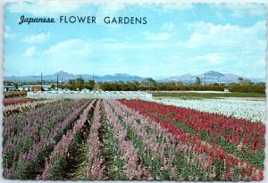 Postcard - Japanese Flower Gardens - Phoenix, Arizona