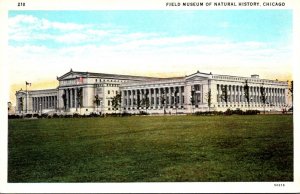 Illinois Chicago Field Museum Of Natural History Curteich