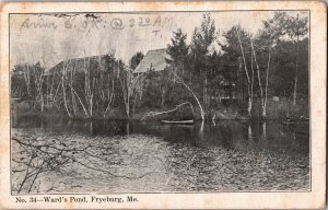 View of Ward's Pond, Fryeburg ME c1907 Undivided Back Vintage Postcard I60