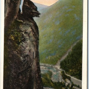 c1920s Lake Lure, NC Devil's Head Near Chimney Rock Litho Postcard Pelton A262