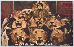 1909 Uganda Lions Postcard Arthur Capper Roosevelt Tour African Safari Vintage