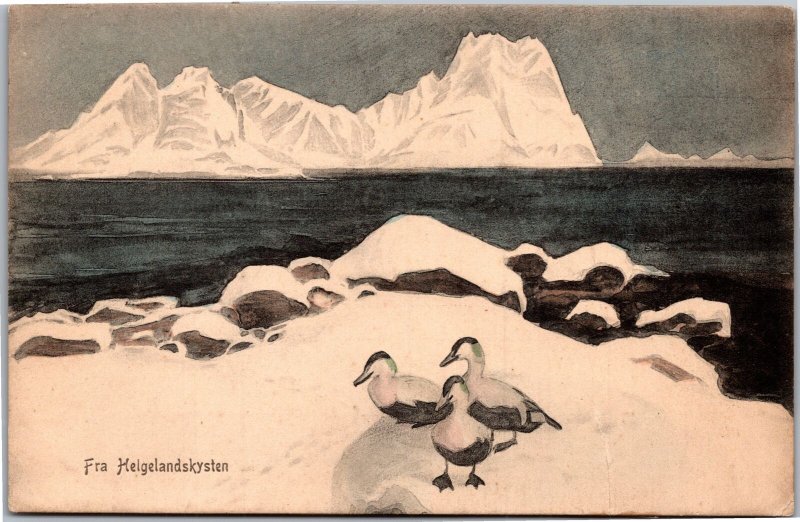 Postcard Norway From the Helgeland Coast  Eider hand colored REPAIRED