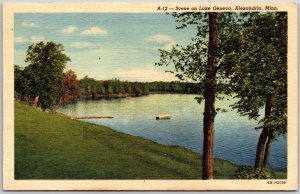 Scene on Lake Geneva Alexandria Minnesota MN Attraction Spot Postcard