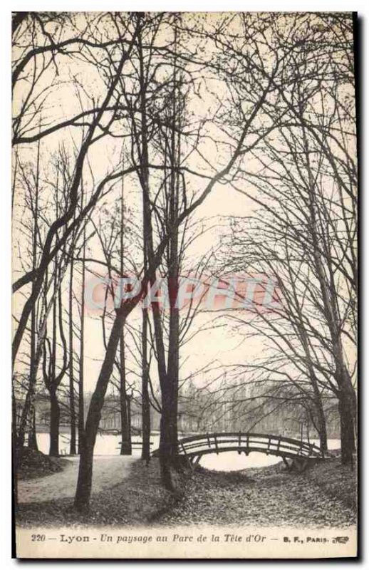 Postcard Old Lyon A Landscape at Parc de la Tete Gold