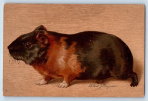 Helene Maguire Artist Signed Postcard Guinea Pig Animal Art c1910's Antique