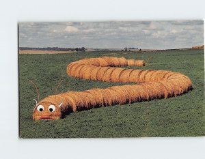 Postcard Huge caterpillar, Wayne, Nebraska